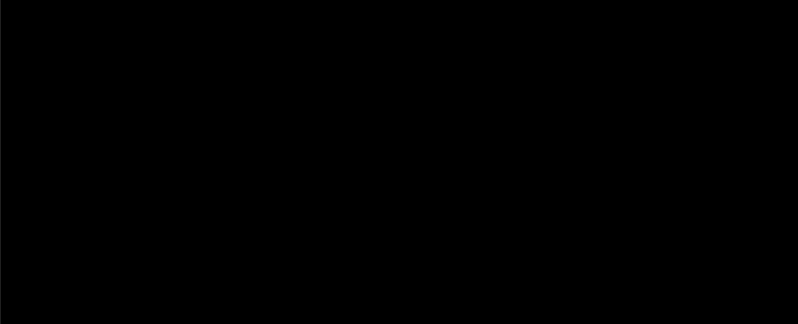 Statement of Solidarity