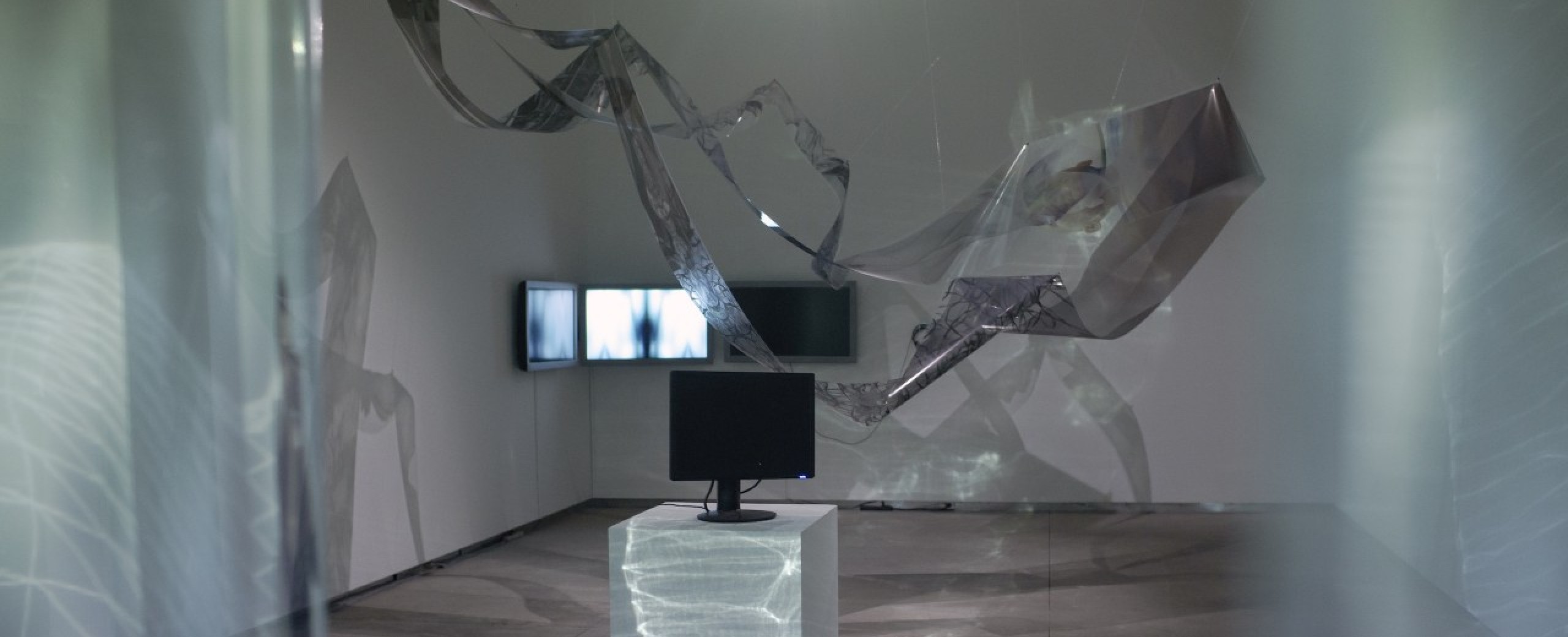 Gallery reopening by appointment