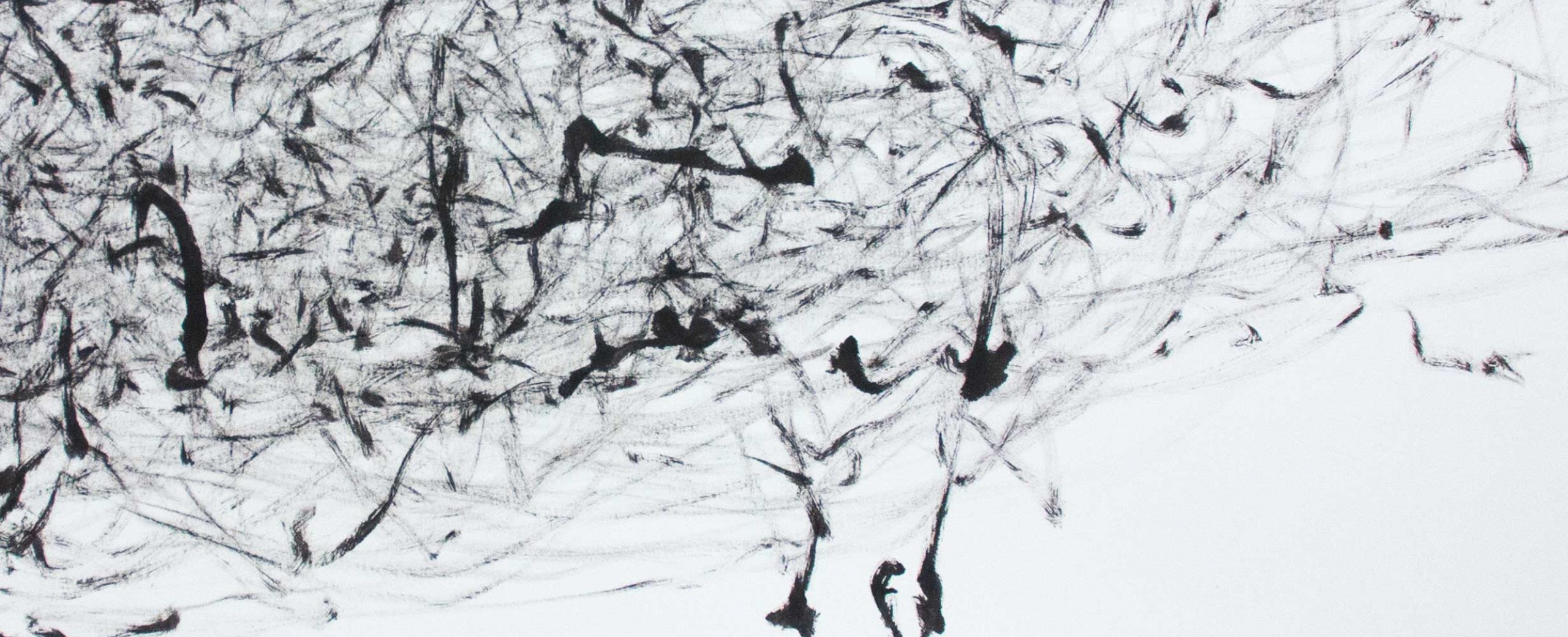 Vector Festival - Algorithms, Generative Art, Machine Agency