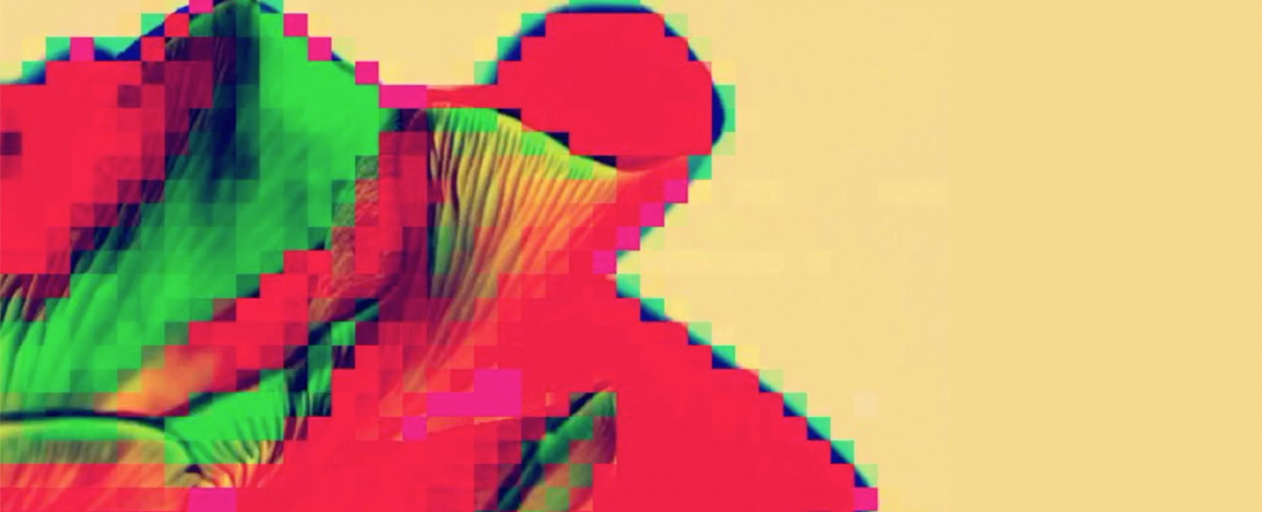 Bio-Sonification: Non-Human Collaboration at MOCA
