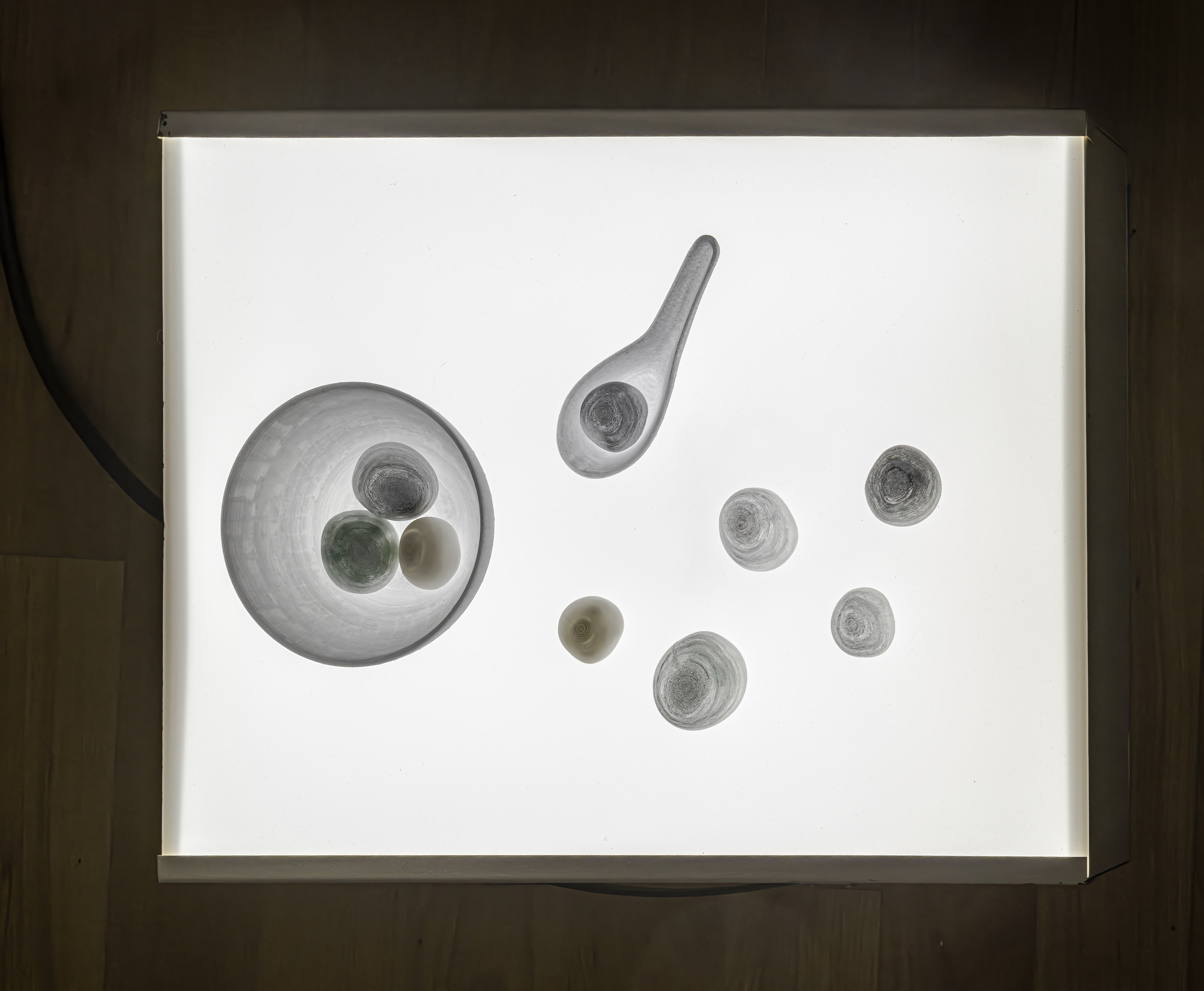 Lauren Warrington, 2025 Winner of the InterAccess Media Arts Prize 