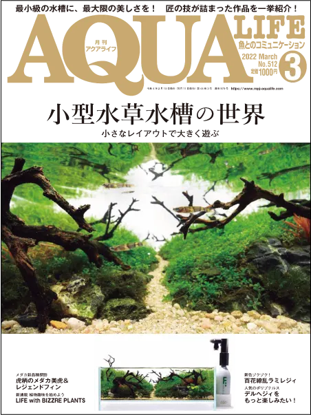 月刊アクアライフ 202203