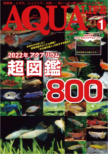 月刊アクアライフ