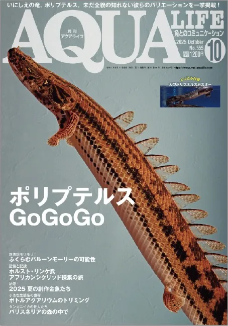 月刊アクアライフ