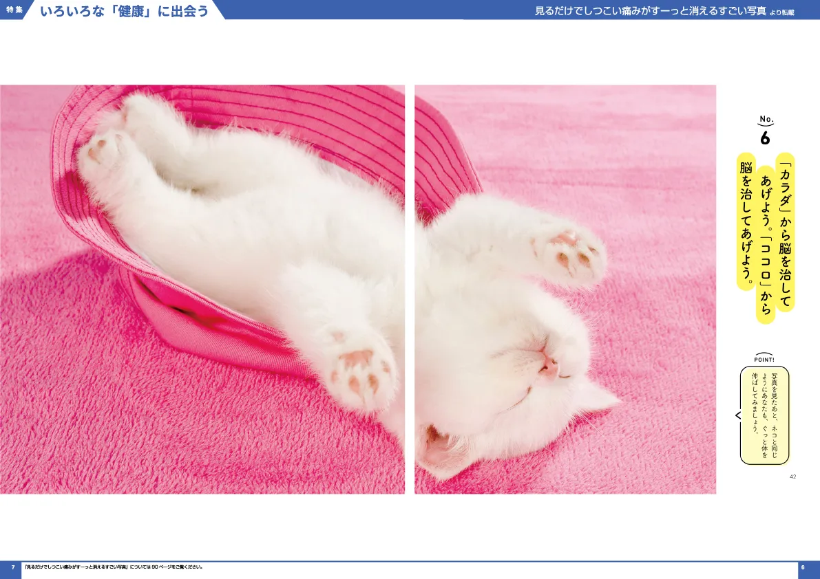 見るだけでしつこい痛みがすーっと消えるすごい写真