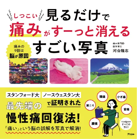 見るだけでしつこい痛みがすーっと消えるすごい写真