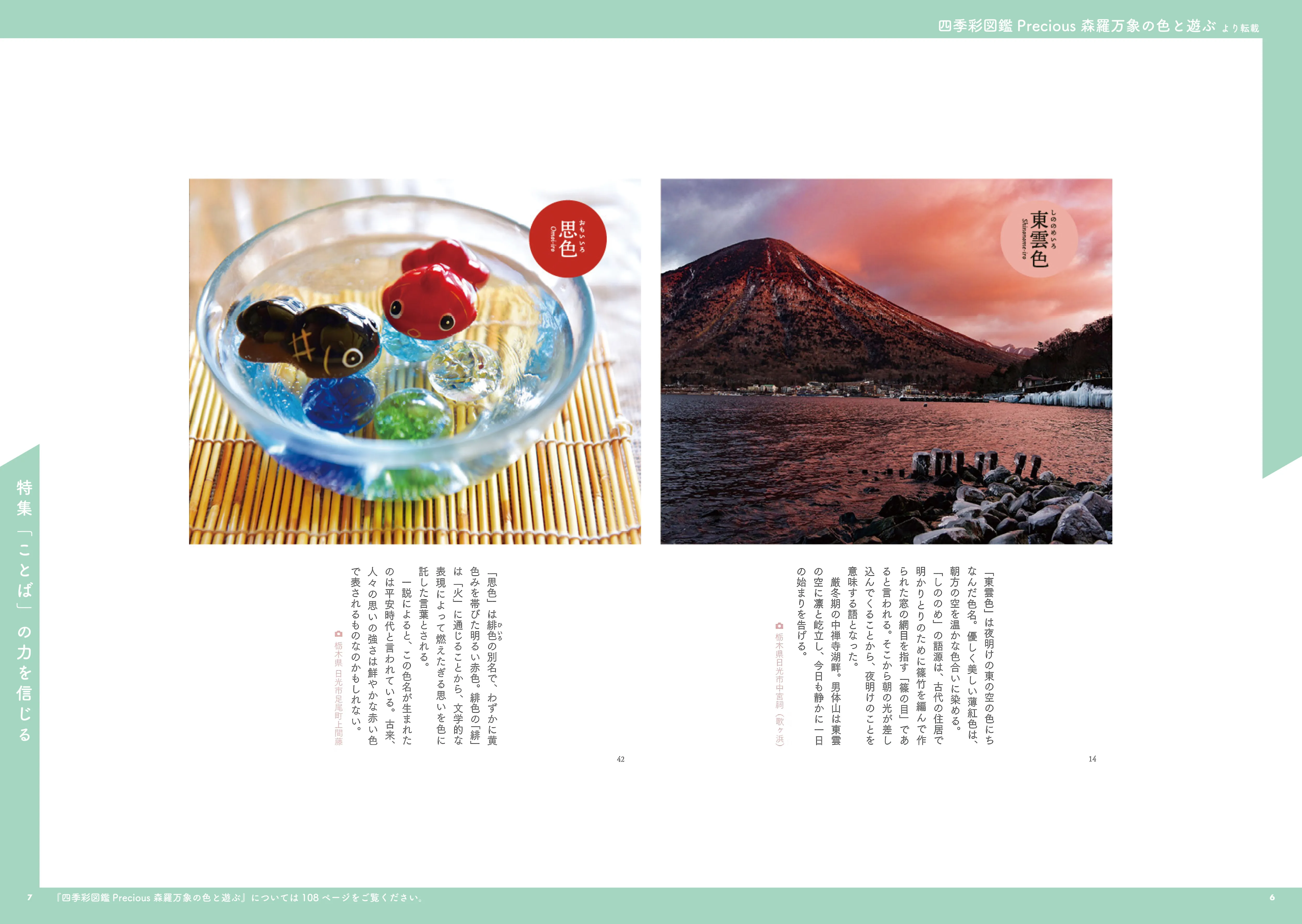 2025年12月1日発行 たのやく12月号（vol.259） - 紙の本屋さん - 株式