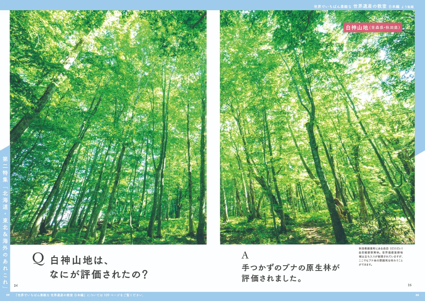 世界でいちばん素敵な 世界遺産の教室 日本編