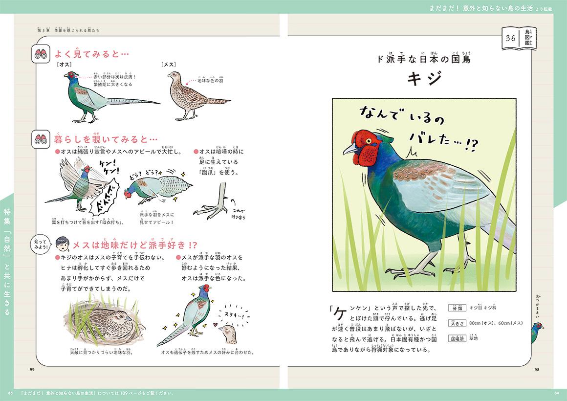まだまだ！ 意外と知らない鳥の生活