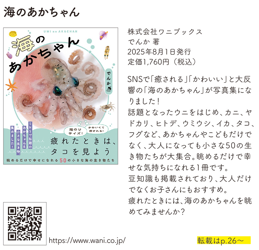 海のあかちゃん