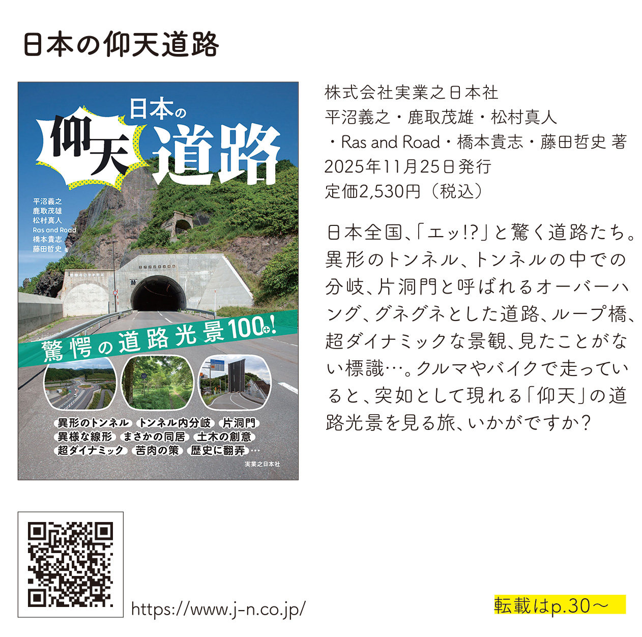 日本の仰天道路