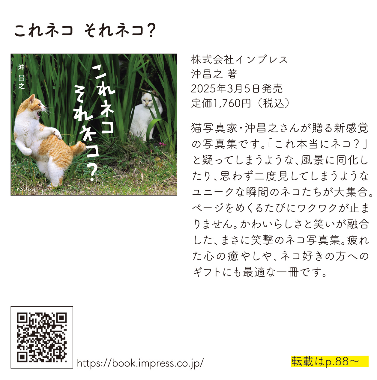 これネコ それネコ?