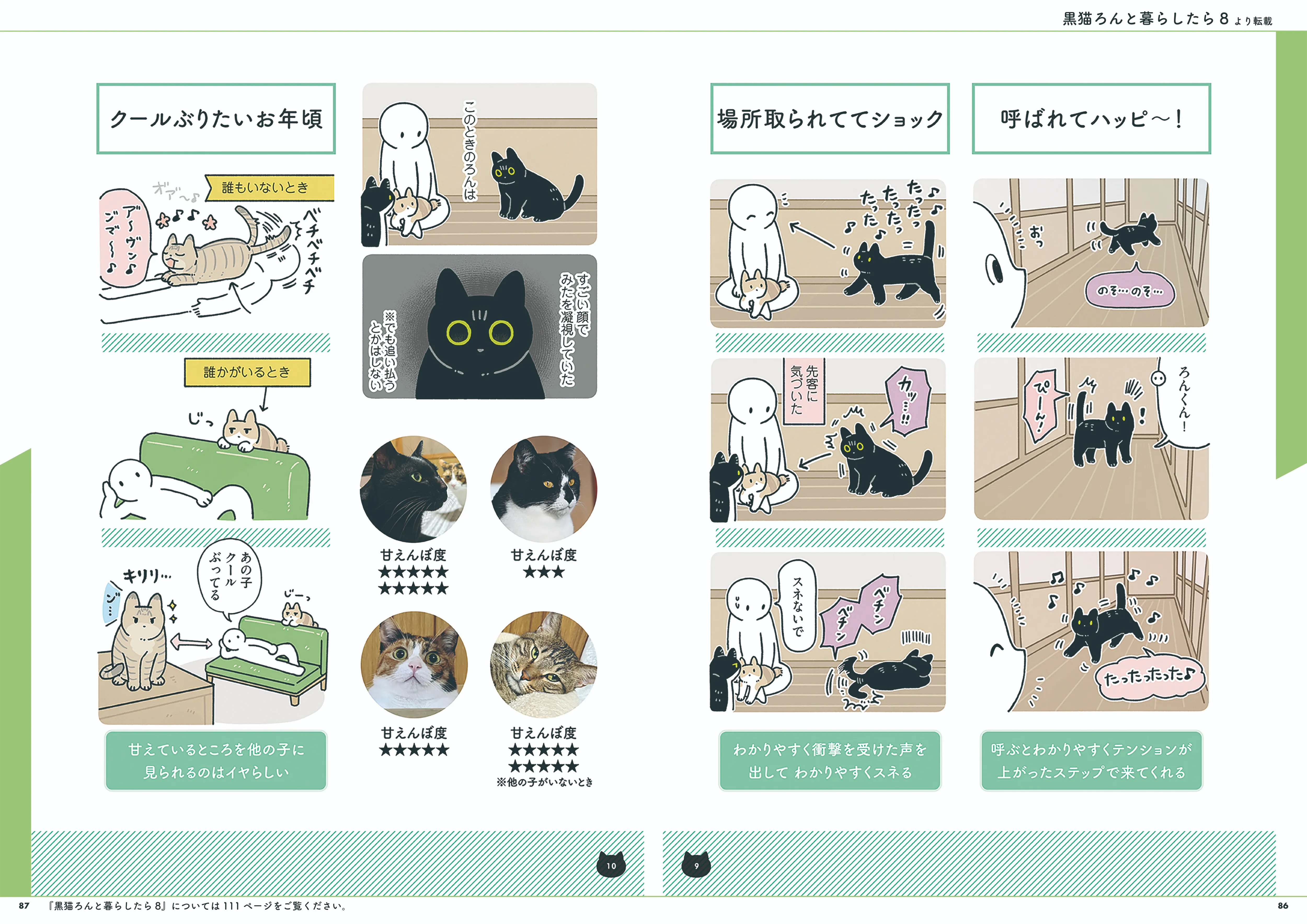 黒猫ろんと暮らしたら8