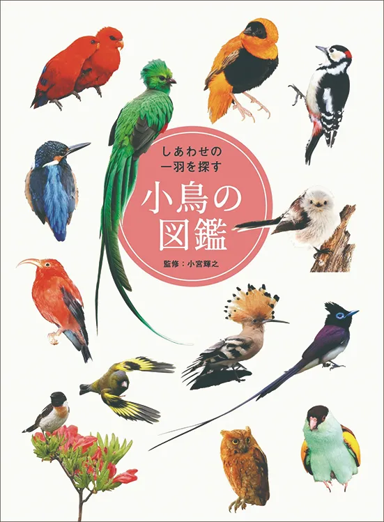 しあわせの一羽を探す 小鳥の図鑑