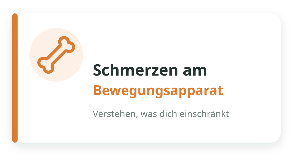 Symbol eines Knochens in einem Kreis links, daneben steht der Text: Schmerzen am Bewegungsapparat, darunter Verstehen, was dich einschränkt.