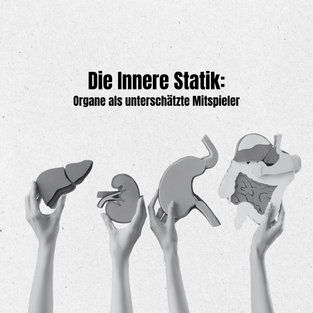 Organe „hängen“ an Faszien/Bändern – und können über Atmung, Narben & Zugketten Rücken/Hüfte beeinflussen. Wie du Hinweise erkennst und was viszeral + manuell wirklich bringt.