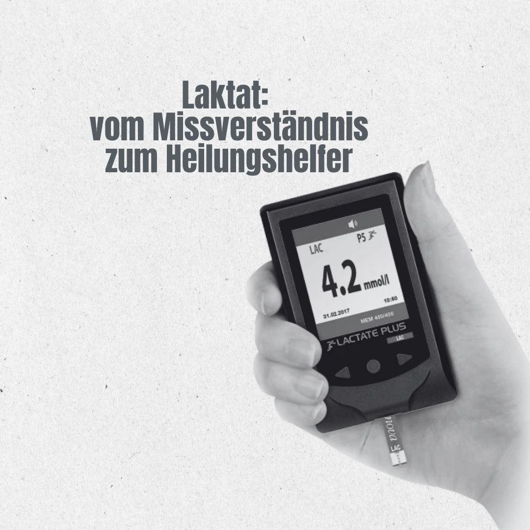 Laktat ist kein Feind: Es ist Energie- und Botenstoff, kann Gefäßneubildung fördern und Heilung unterstützen. Warum dosierte Belastung in der Reha oft sinnvoller ist als Stillhalten.