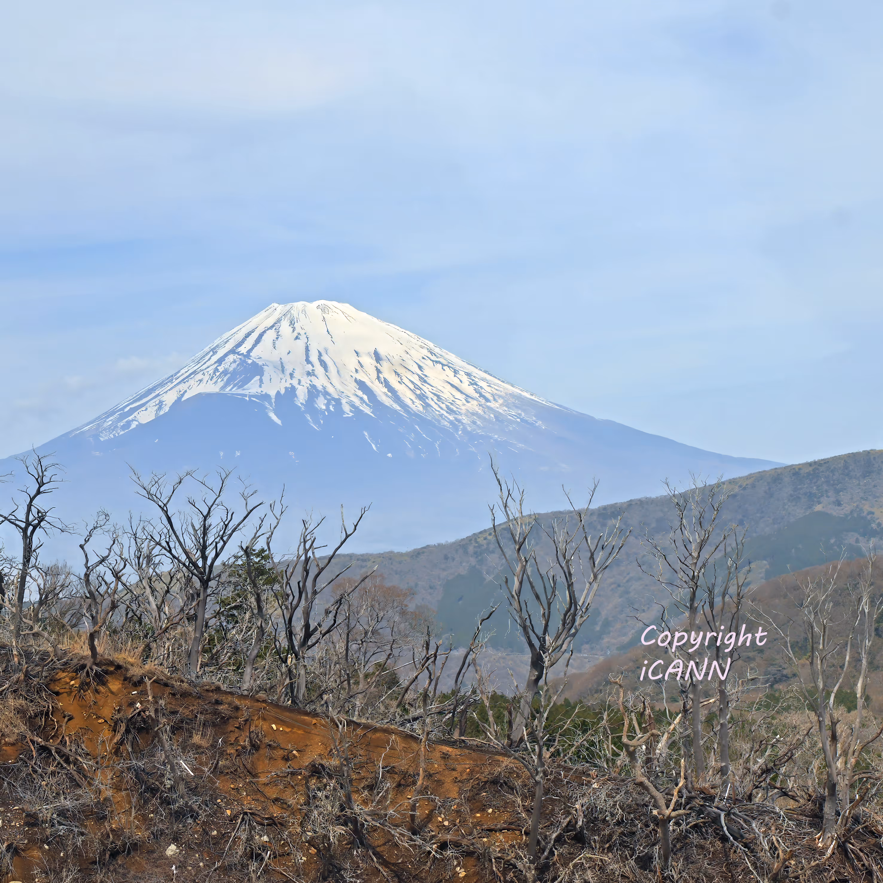 iCann Life Sciences congres Japon