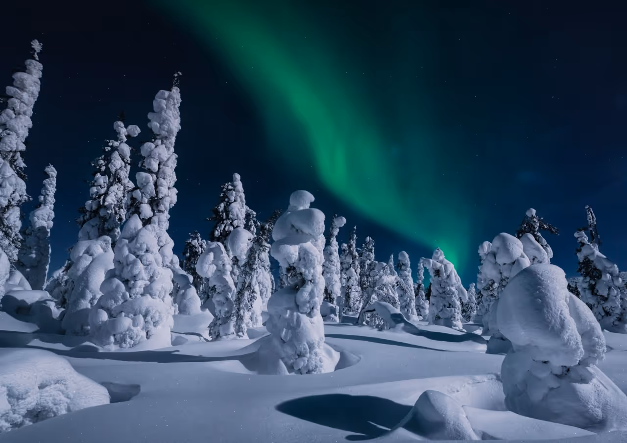 iCann Life Sciences congres Laponie