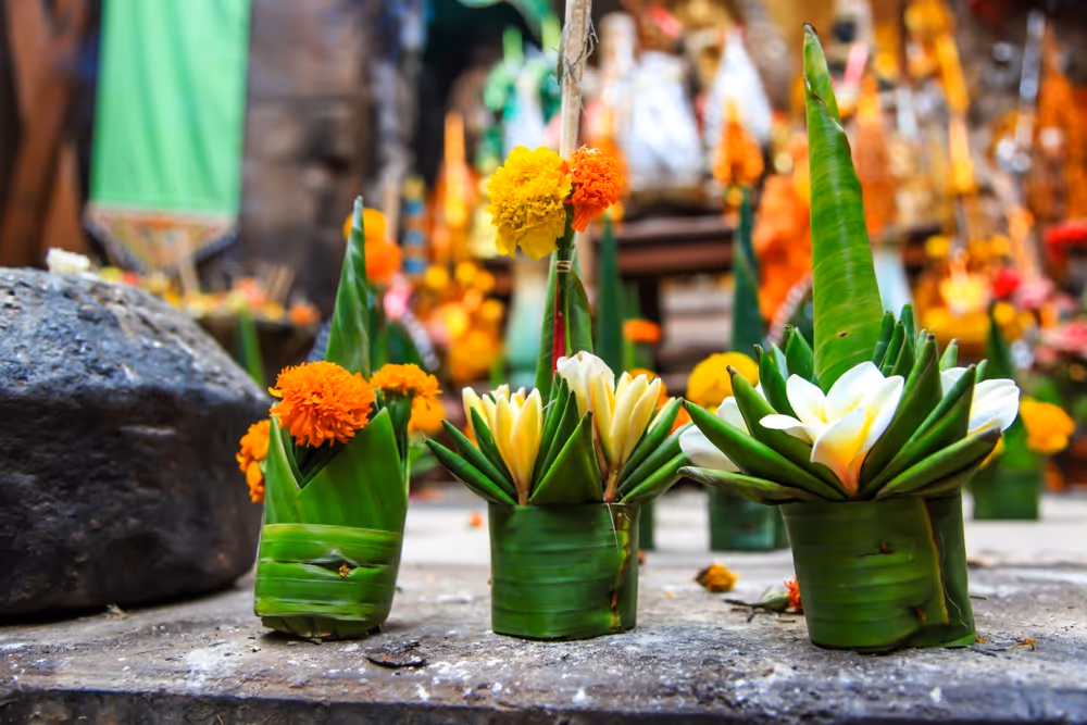 iCANN Life Sciences - Programme du congrès au Laos - luang prabang offrande