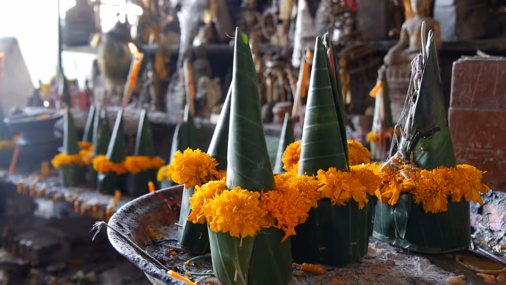 iCANN Life Sciences - Programme du congrès au Laos - croisieres offrandes