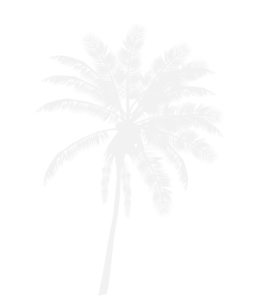 Black silhouette of a tall palm tree with detailed fronds against a transparent background.