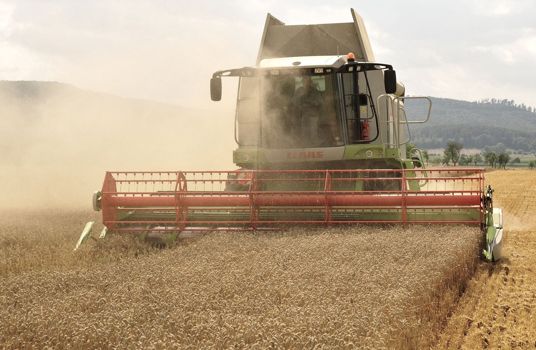 Combine harvesting a wheat field