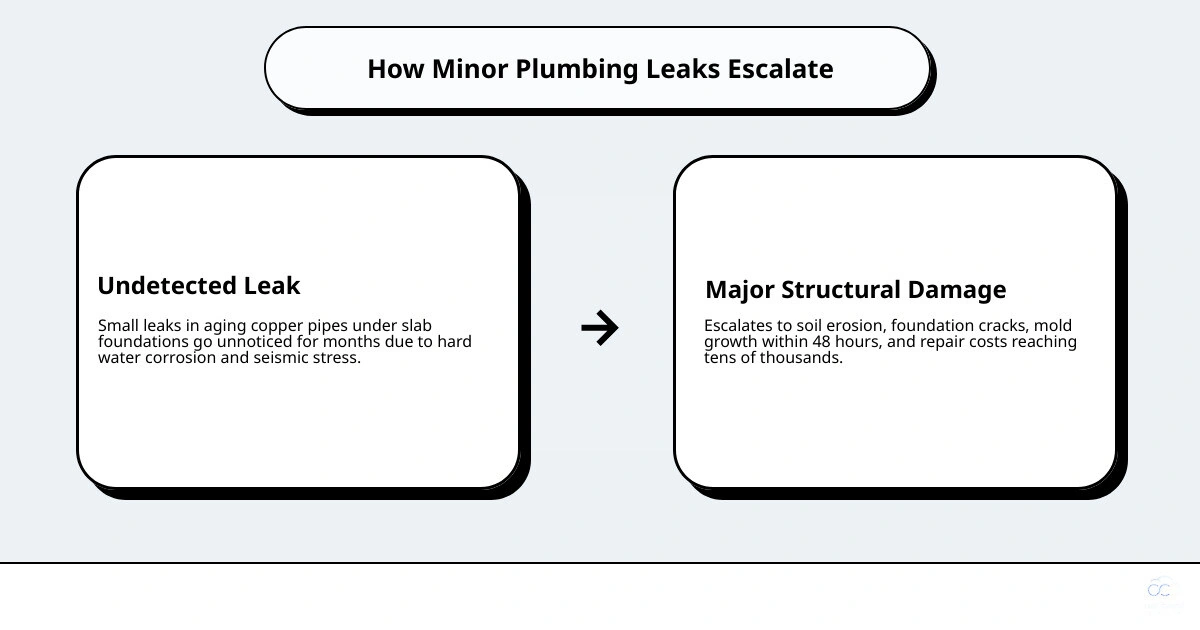 Infographic showing how a minor hidden plumbing leak escalates into mold, structural damage, and major repair costs Infographic showing how a minor hidden plumbing leak escalates into mold, structural damage, and major repair costs
