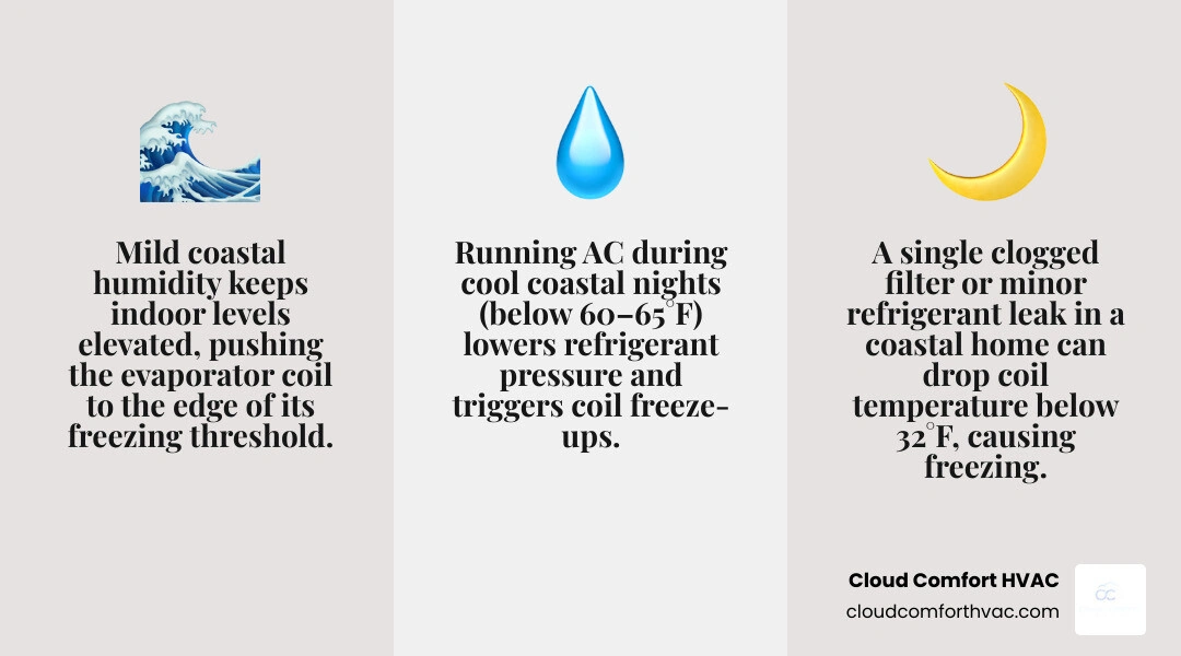 Causes of frozen evaporator coil in mild coastal climate — infographic summary infographic Causes of frozen evaporator coil in mild coastal climate — infographic summary infographic