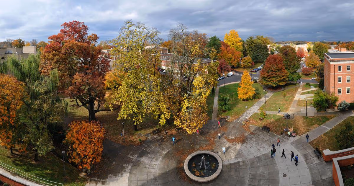 An overhead shot of Borchuck Plaza