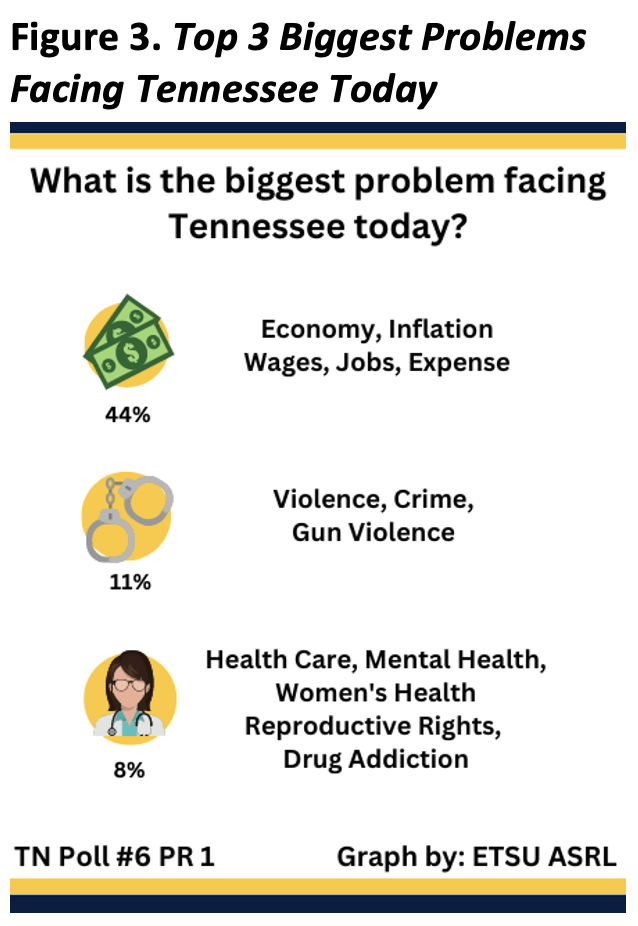 Figure 3: Overall, respondents identified the top three problems facing Tennessee today as the economy, jobs, expense (44%), violence, crime, and gun violence (11%), and health care, mental health, women's health, reproductive rights, and drug addiction (8%).