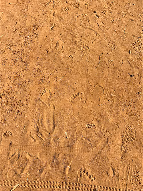 Kamuzu, children's footprints in the sand