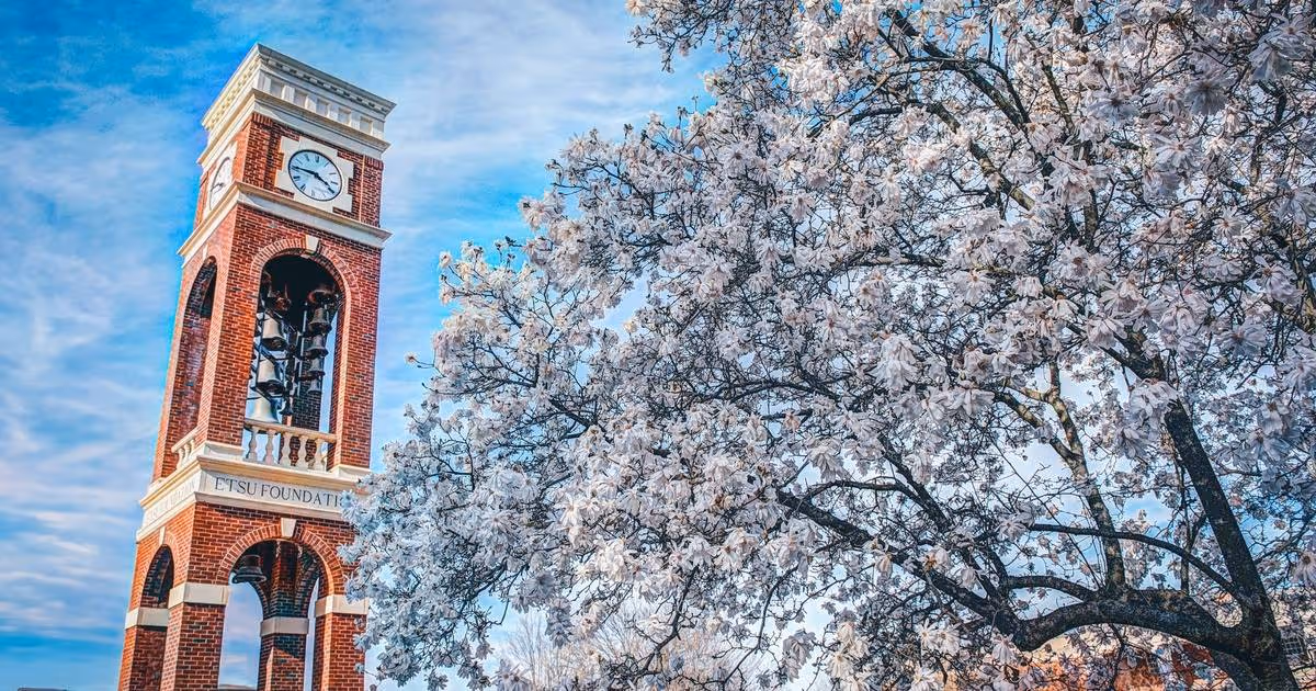 Spring flowers bloom on ETSU's campus, with the belltower in the background.