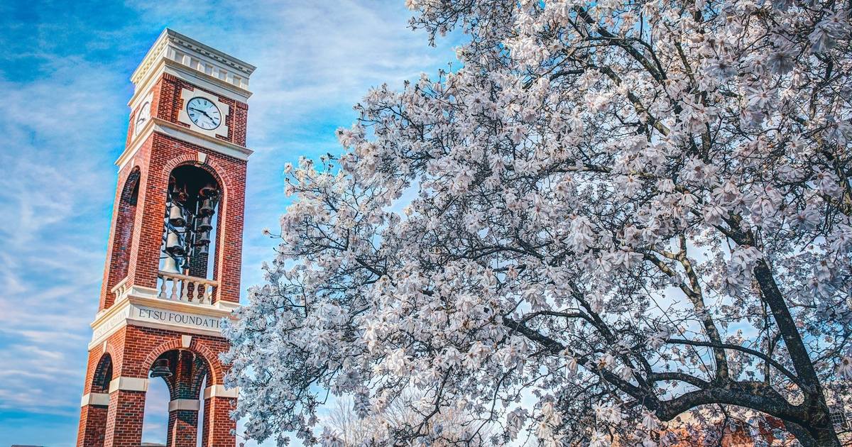 Spring flowers bloom on ETSU's campus, with the belltower in the background.