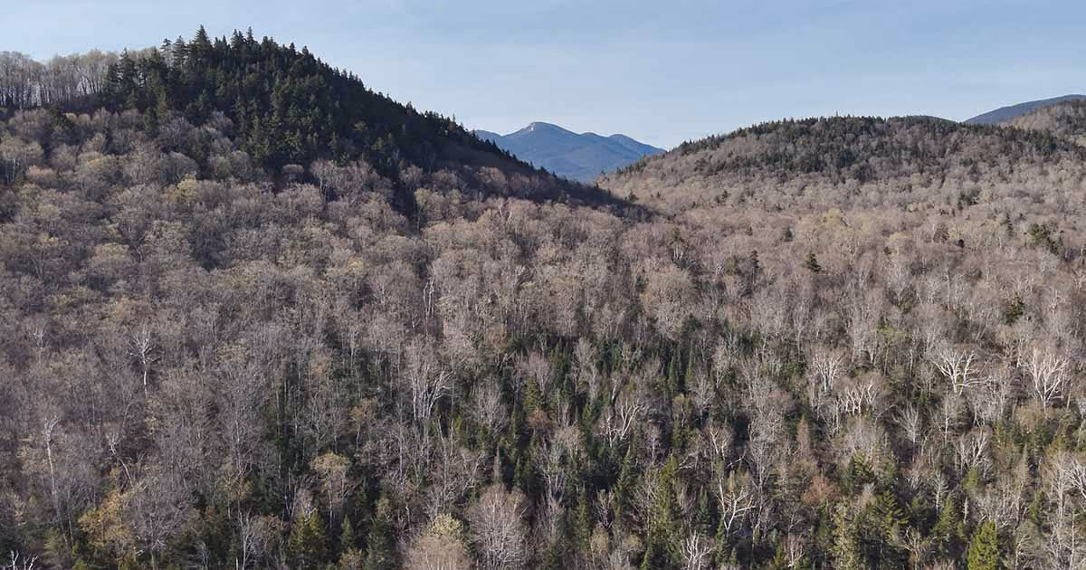 Aerial view of the Adirondack Mountains, showing a forested valley and rolling mountain ridges stretching into the distance.