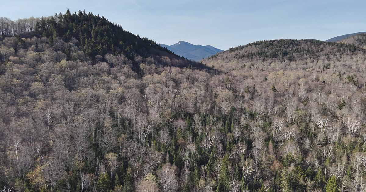 Aerial view of the Adirondack Mountains, showing a forested valley and rolling mountain ridges stretching into the distance.