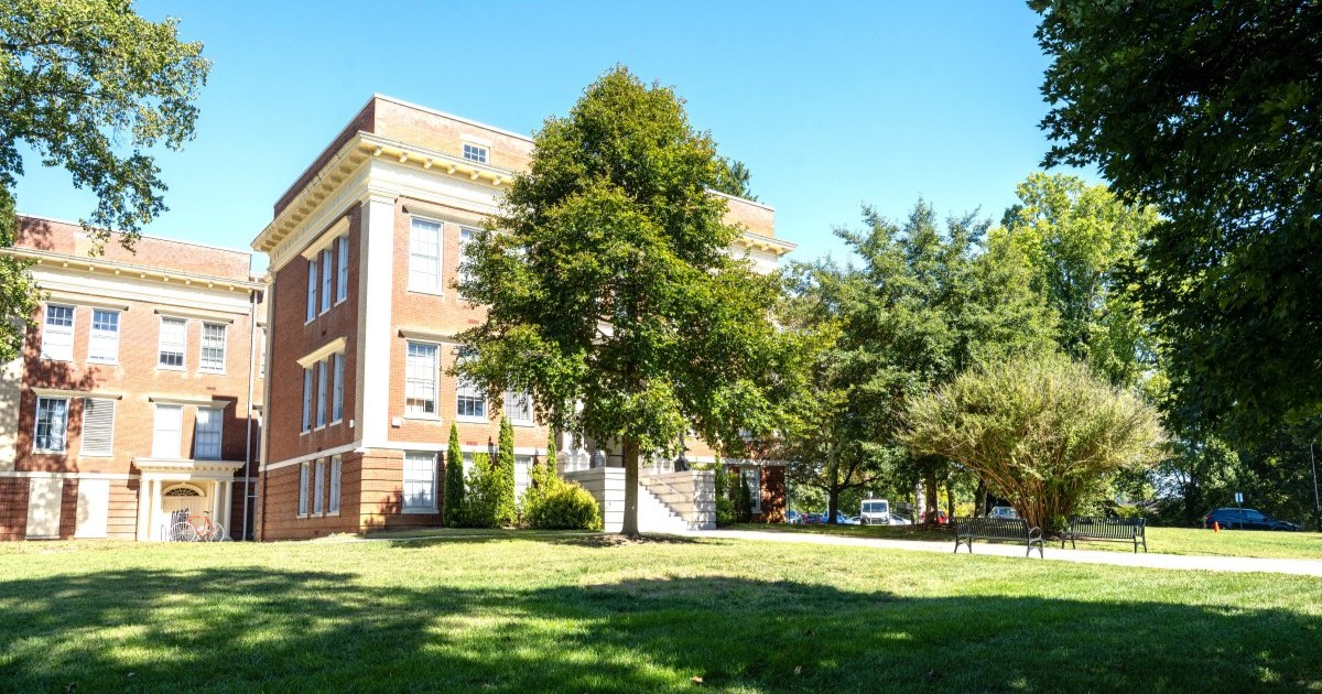 A Black gum tree with green foliage photographed outside of a building on ETSU's campus.