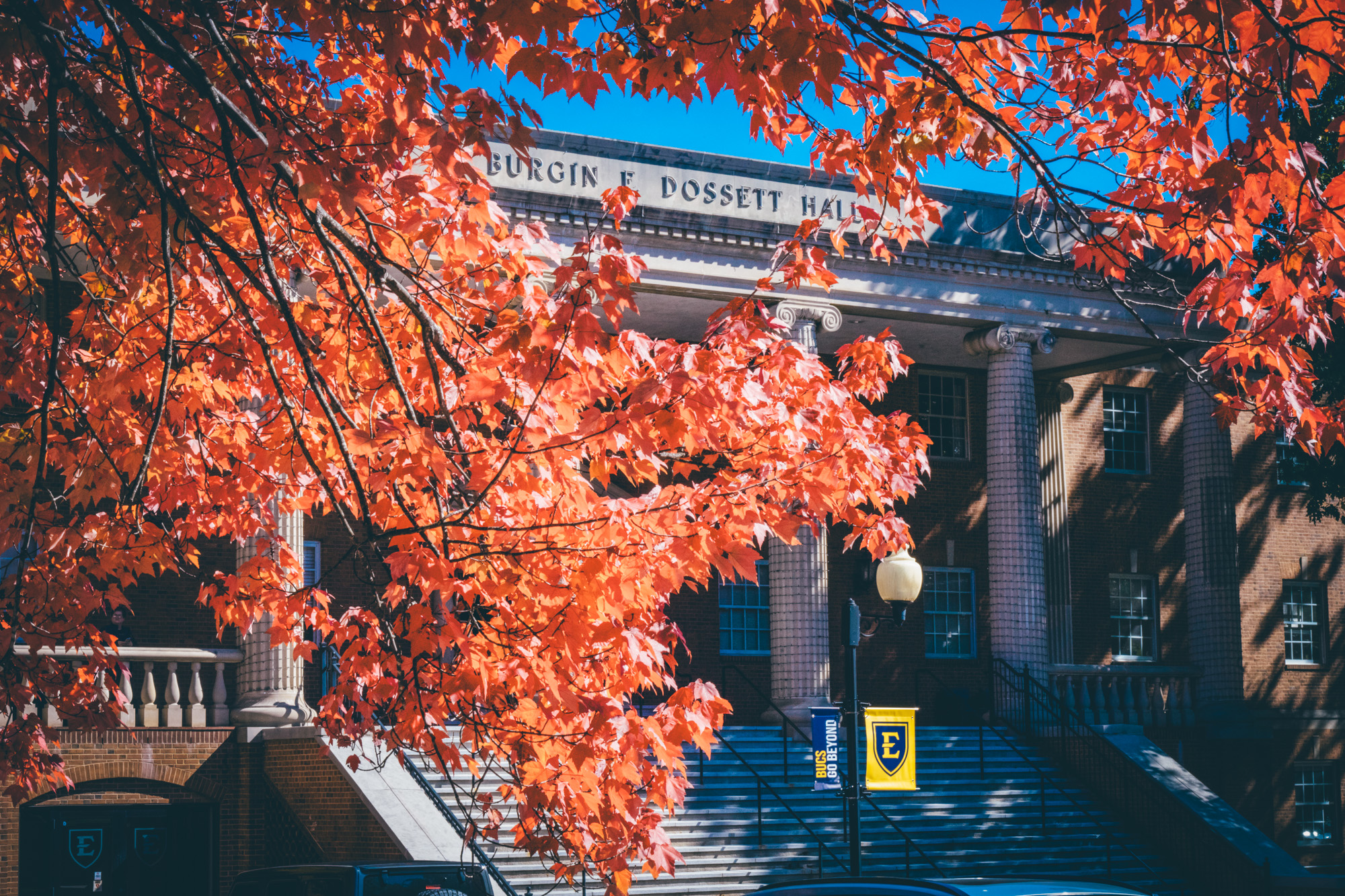 A red maple tree in full fall color framing a building's facade reading "Burgin E. Dossett Hall" and an ETSU-branded flag pole banner with the shield E logo and "Bucs Go Beyond" on it.