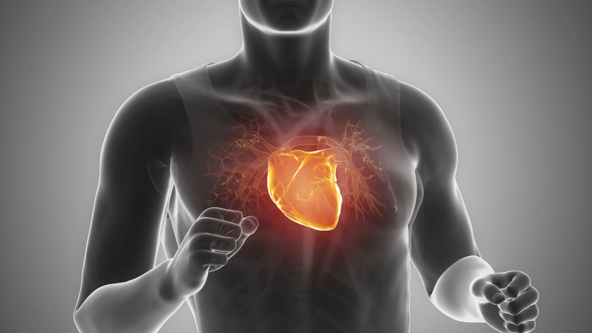 Active Heart