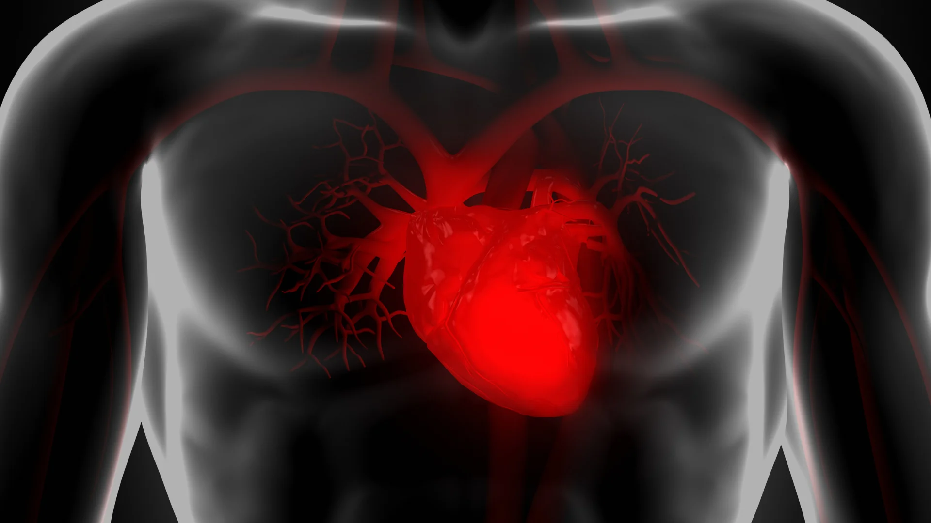 Pro Heart