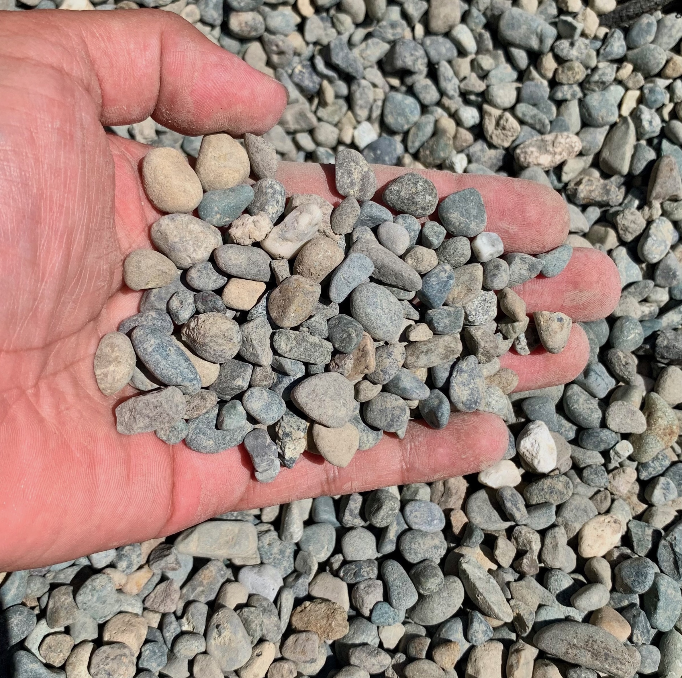 picture of rock called pea gravel