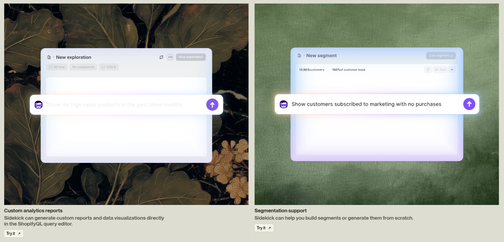 Shopify custom analytics reports and segentation supprot presentation screenshot