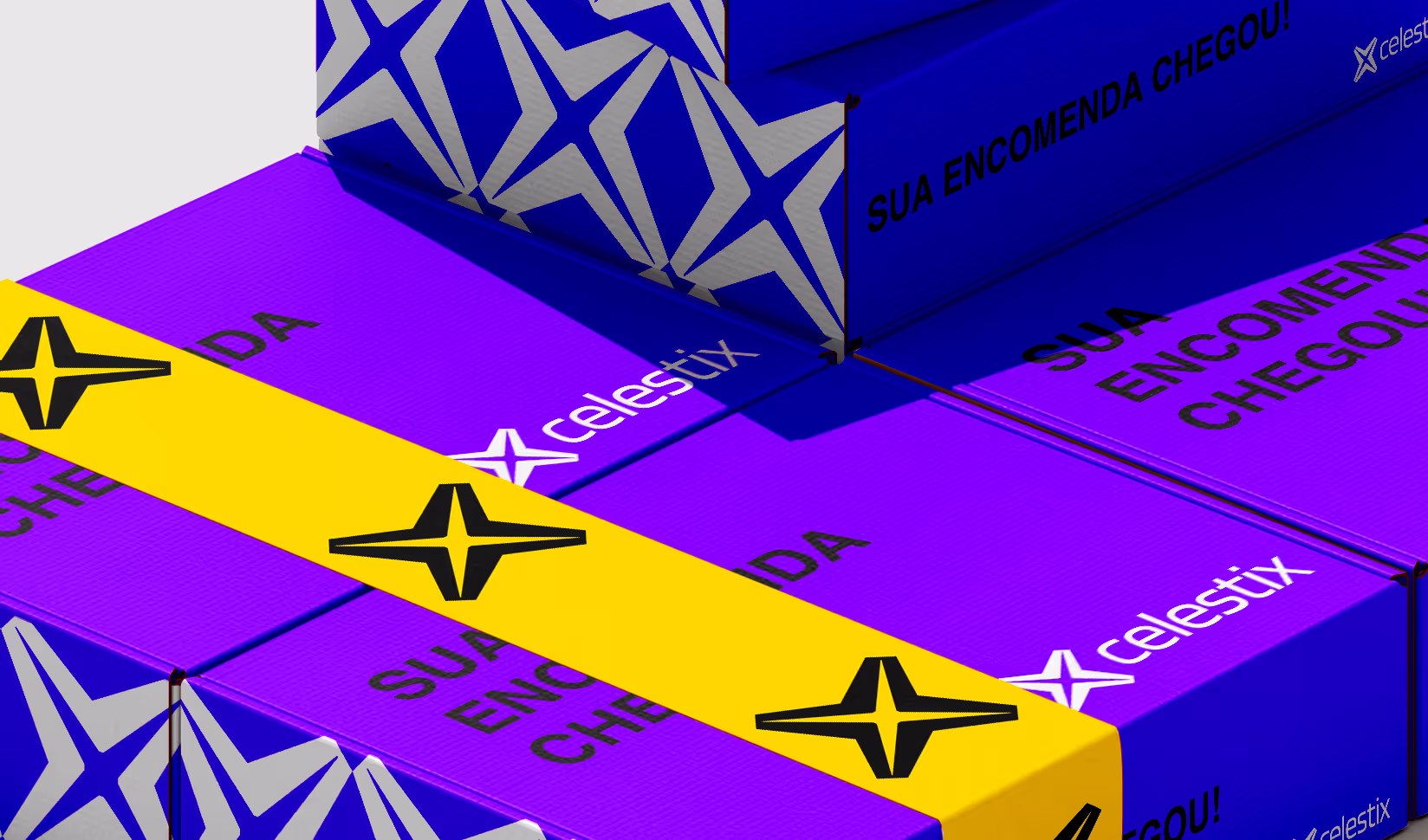 projeto: celestix