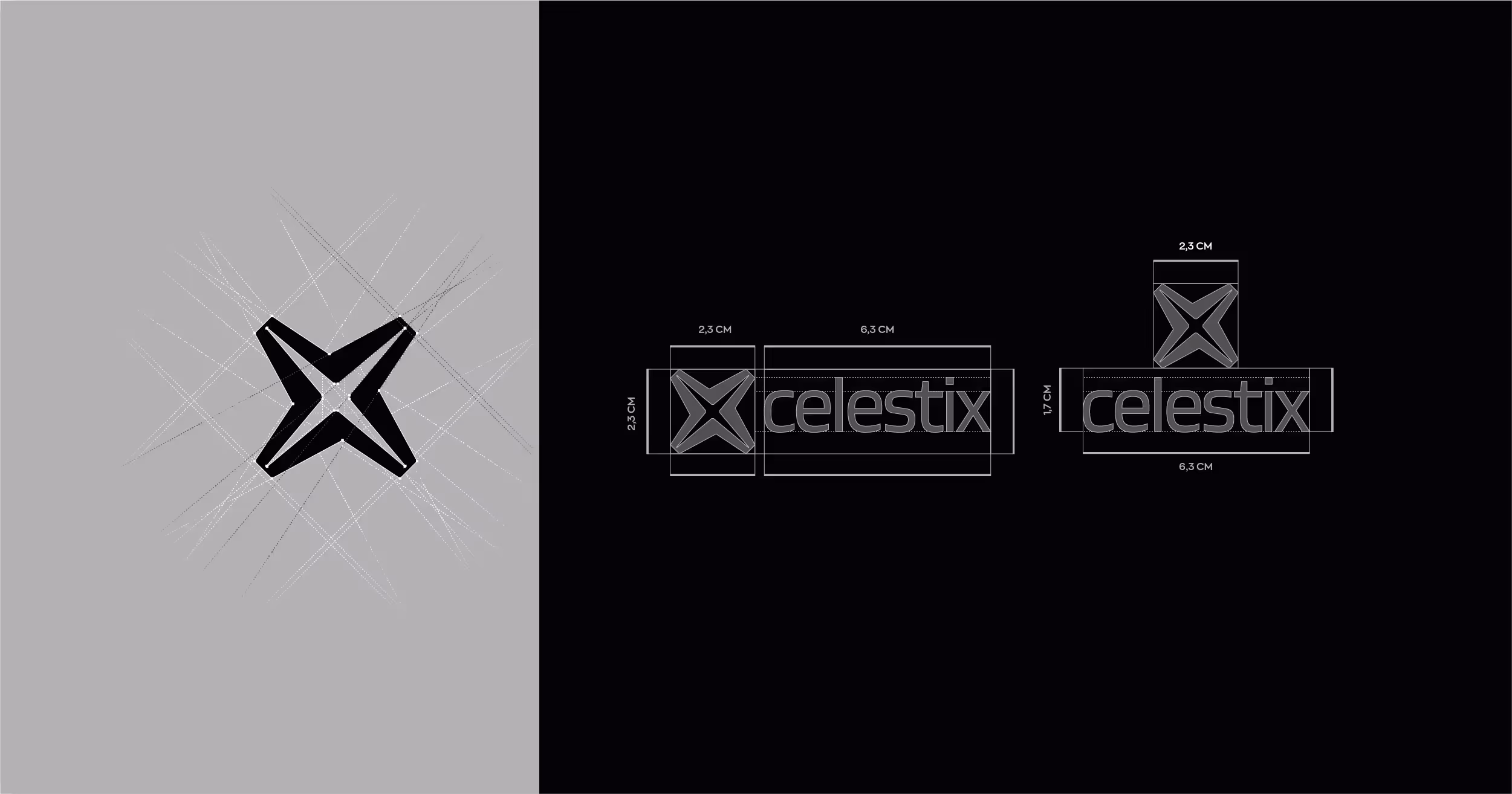 projeto: celestix