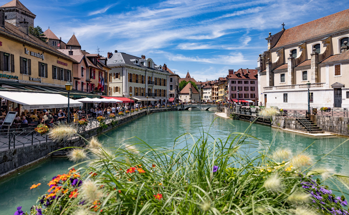 Annecy lac fleur