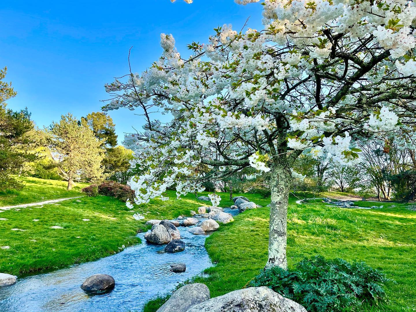Parc floral