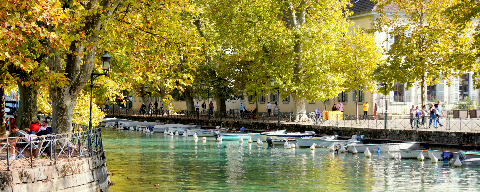 S’appuyer sur un expert local