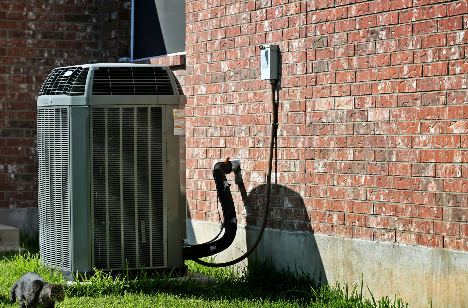 Water Puddles Around Your AC Unit: What Hilton Head Island Homeowners Should Know