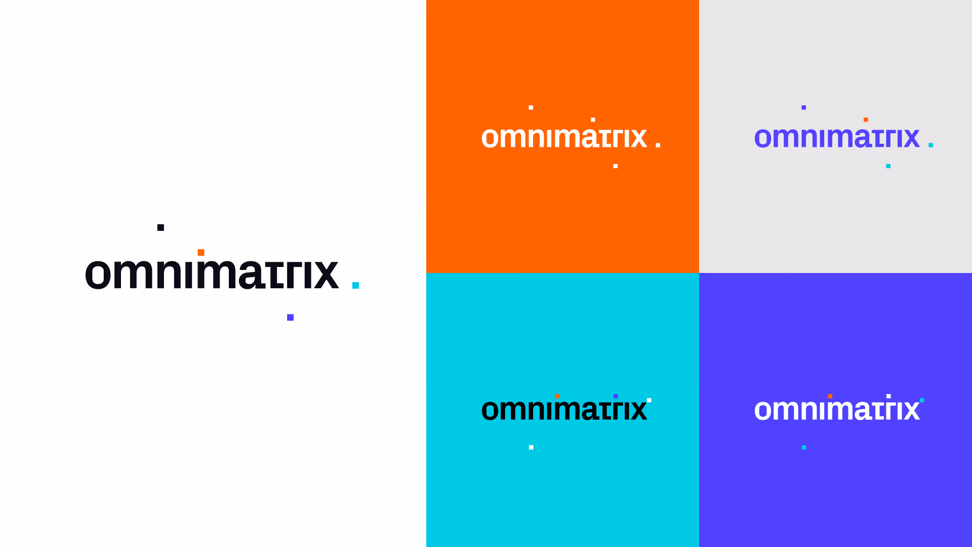 Omnimatrix logo for fintech innovation studio