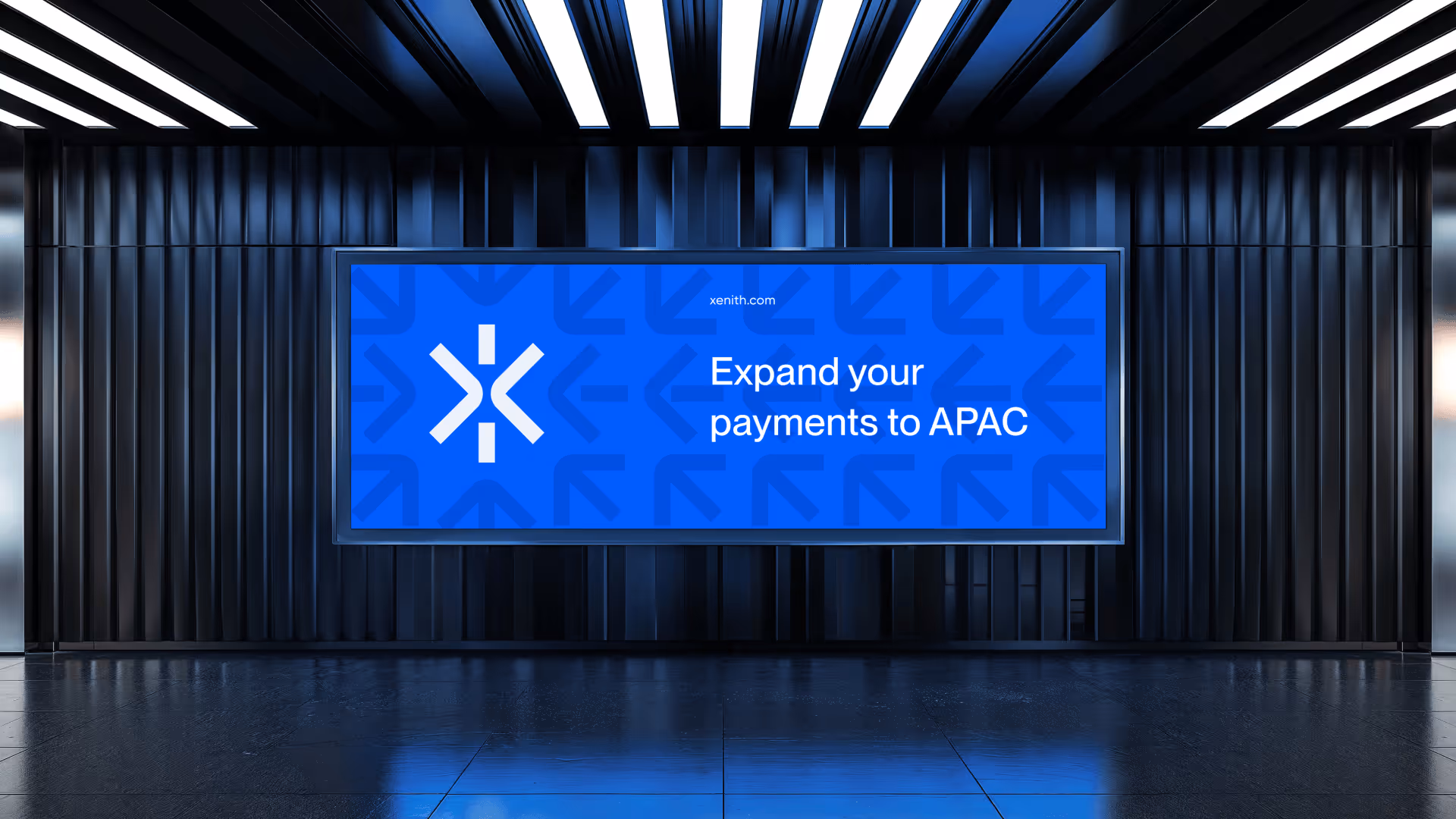 Grid-based layout showcasing scalable brand components for Xenith
